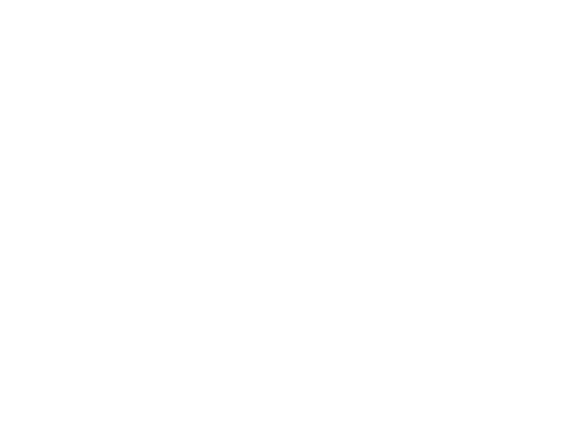 Vylan logo